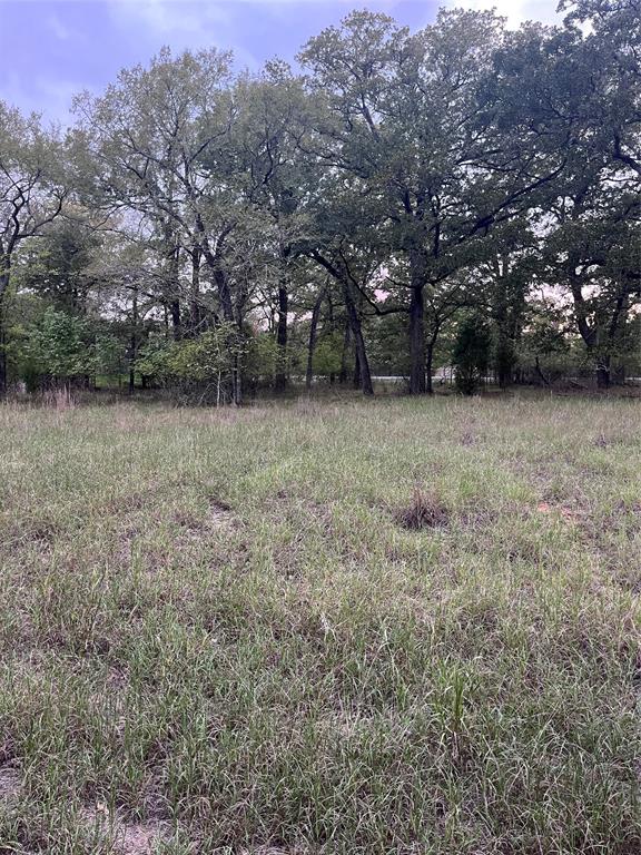 26 Boca Chica Property Photo 1