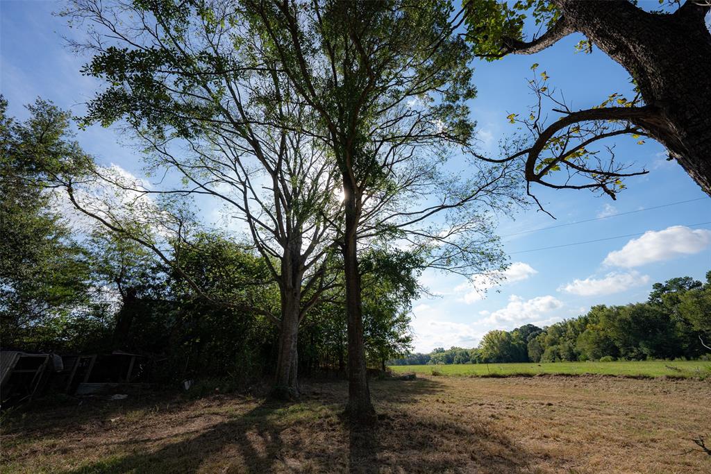 5700 E State Highway 294 Property Photo 10