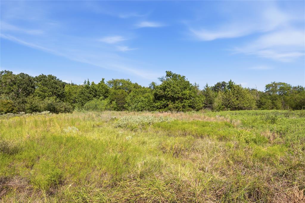 0 Roy Warren Parkway Property Photo 10