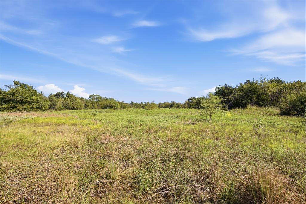 0 Roy Warren Parkway Property Photo 14