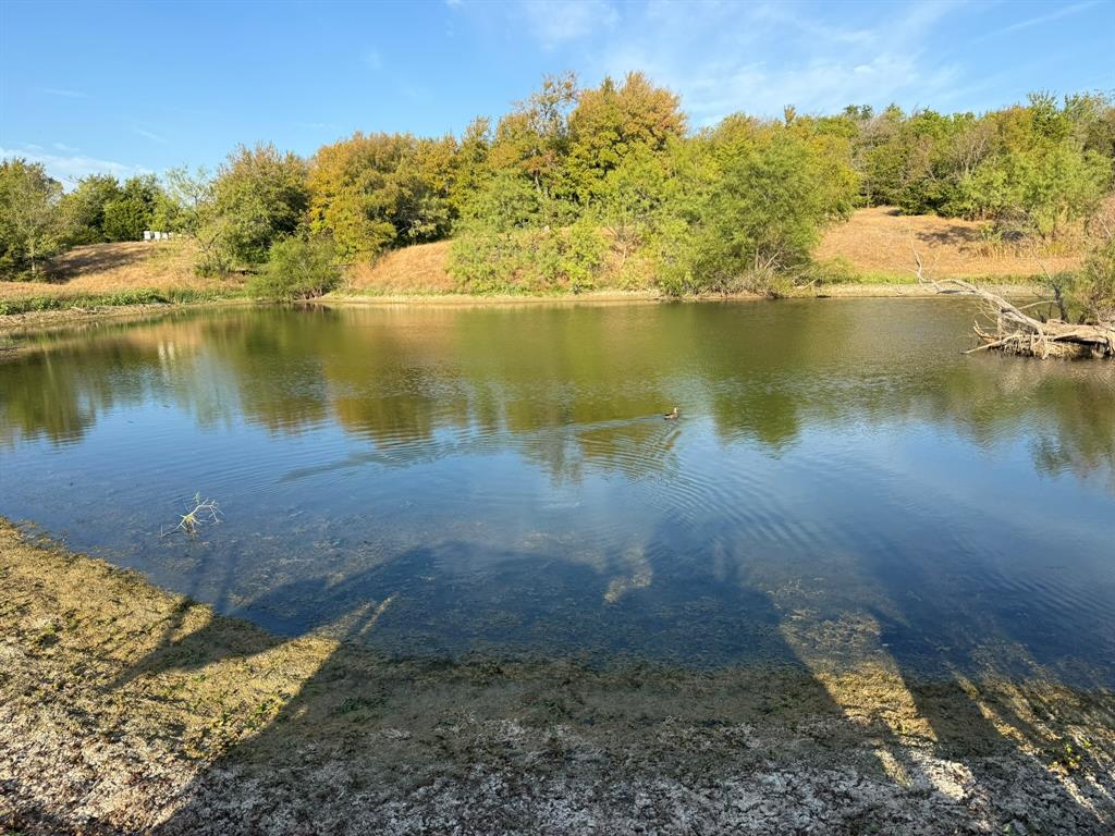 Tbd 12 Palmyra Property Photo 3