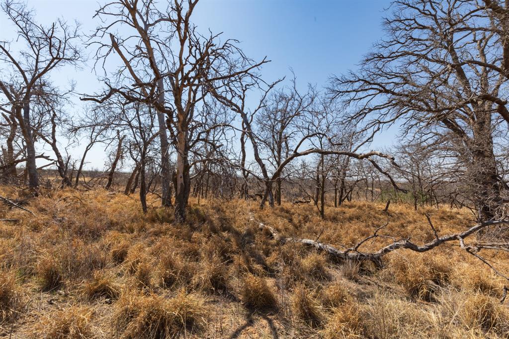 Tbd Cr 238 Property Photo 3