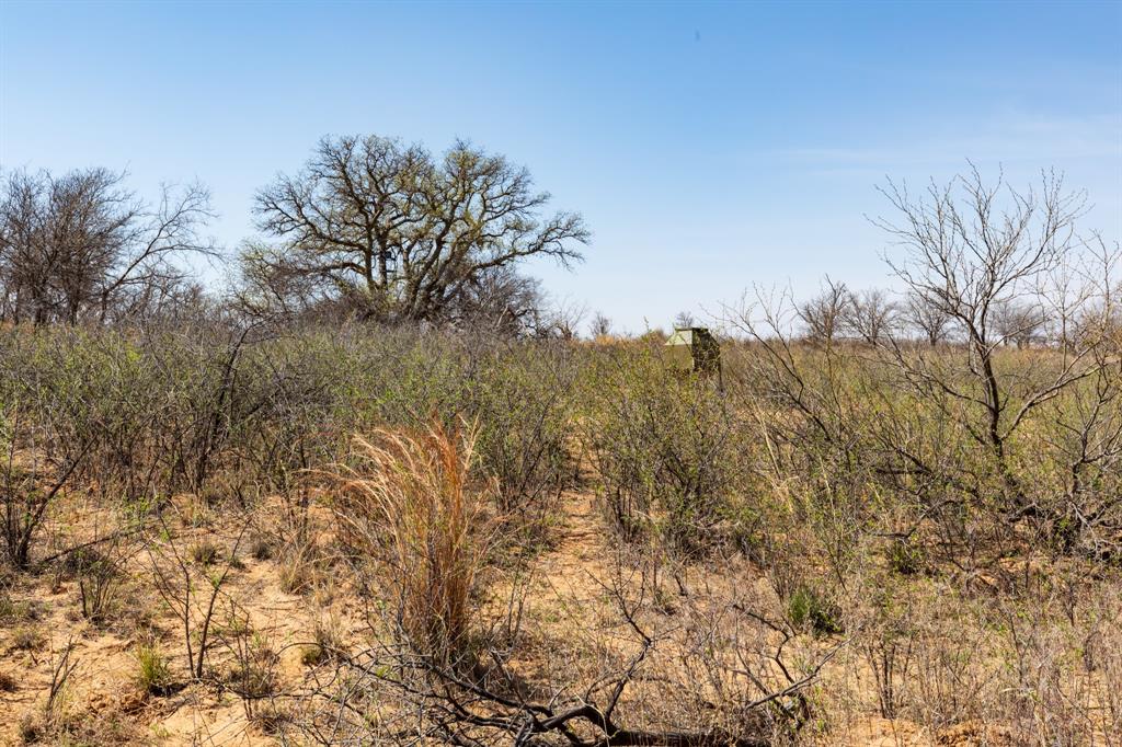 Tbd Cr 238 Property Photo 4