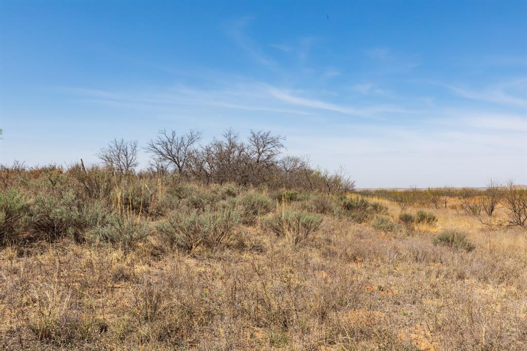 Tbd Cr 238 Property Photo 5