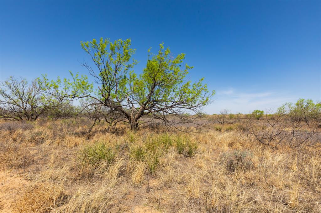 Tbd Cr 238 Property Photo 8