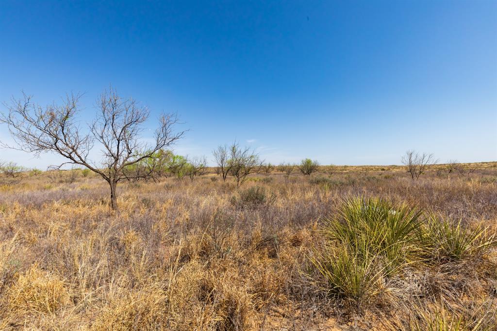 Tbd Cr 238 Property Photo 9