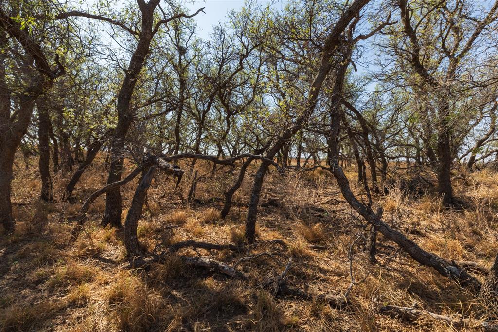 Tbd Cr 238 Property Photo 10
