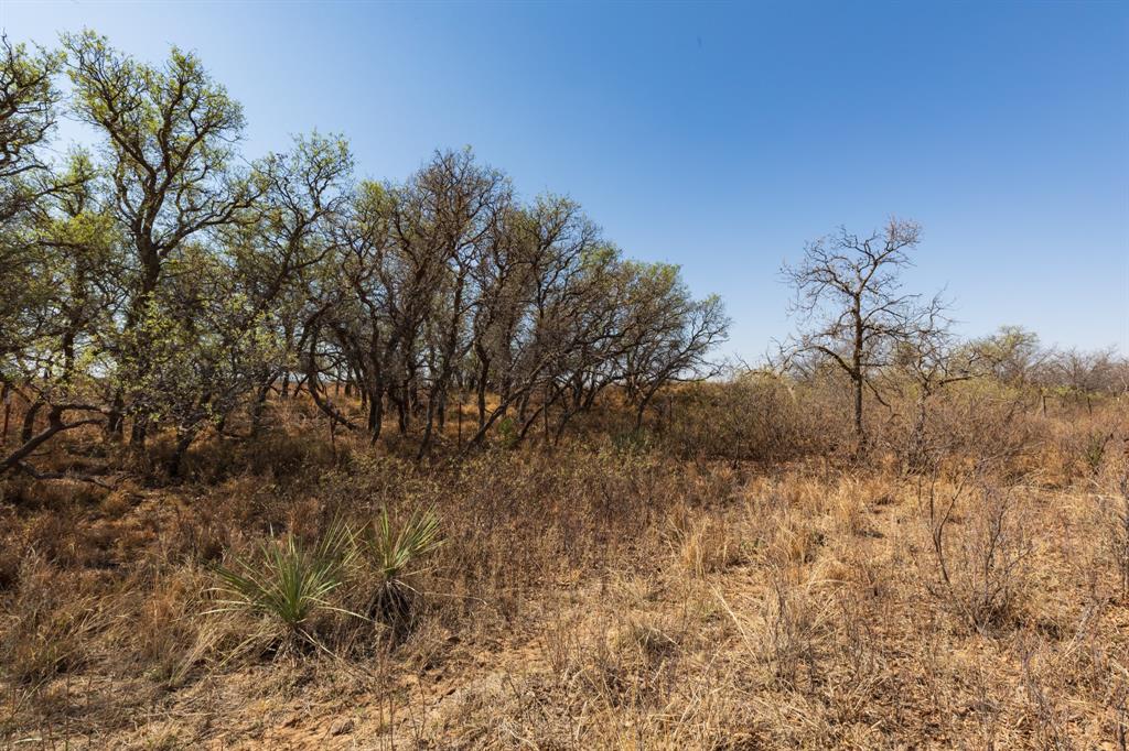 Tbd Cr 238 Property Photo 13