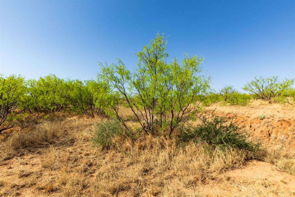 Tbd Cr 238 Property Photo 14