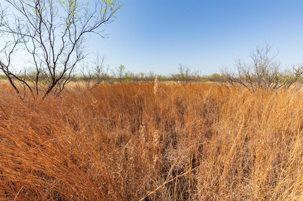 Tbd Cr 238 Property Photo 38
