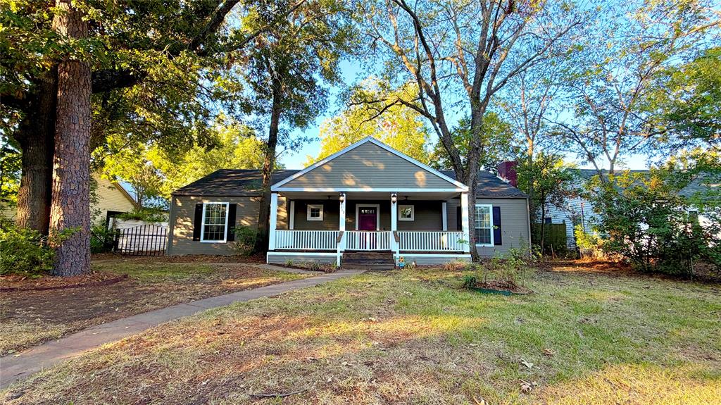 313 Elm Drive Property Photo 1