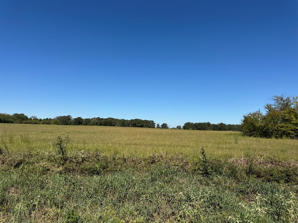 Lot 9 County Road 2922 Property Photo 1