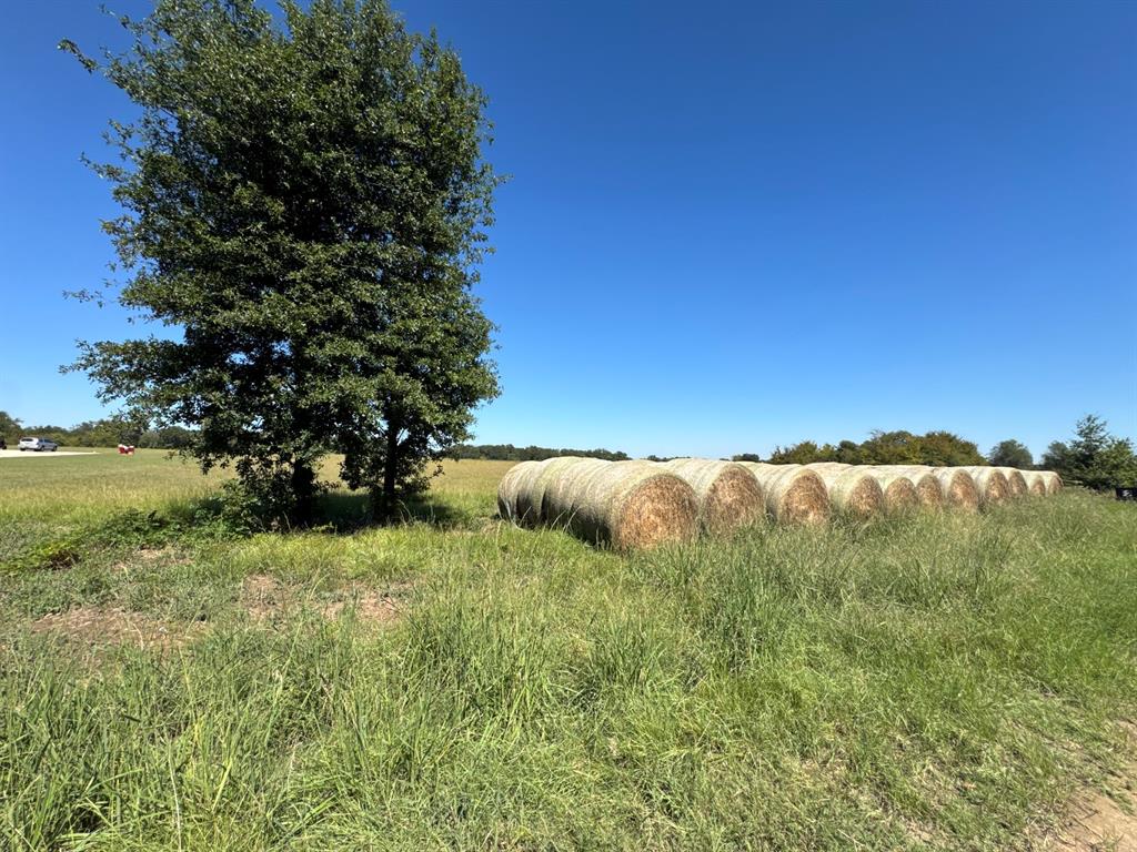 Lot 10 County Road 2922 Property Photo 1