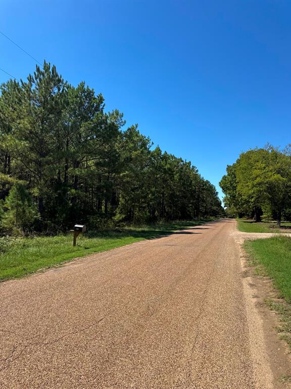 Lot 10 County Road 2922 Property Photo 3