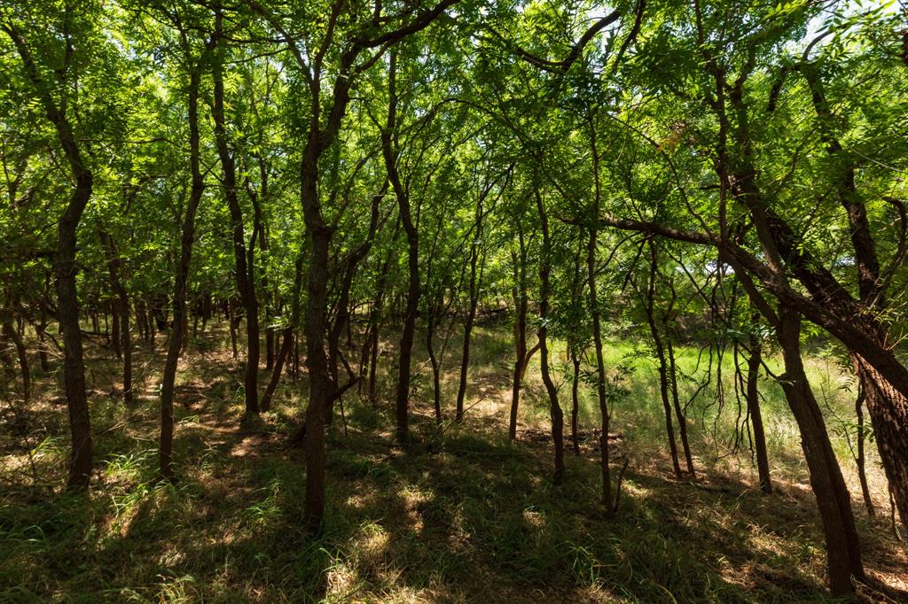 9000 Private Road 496 Property Photo 3