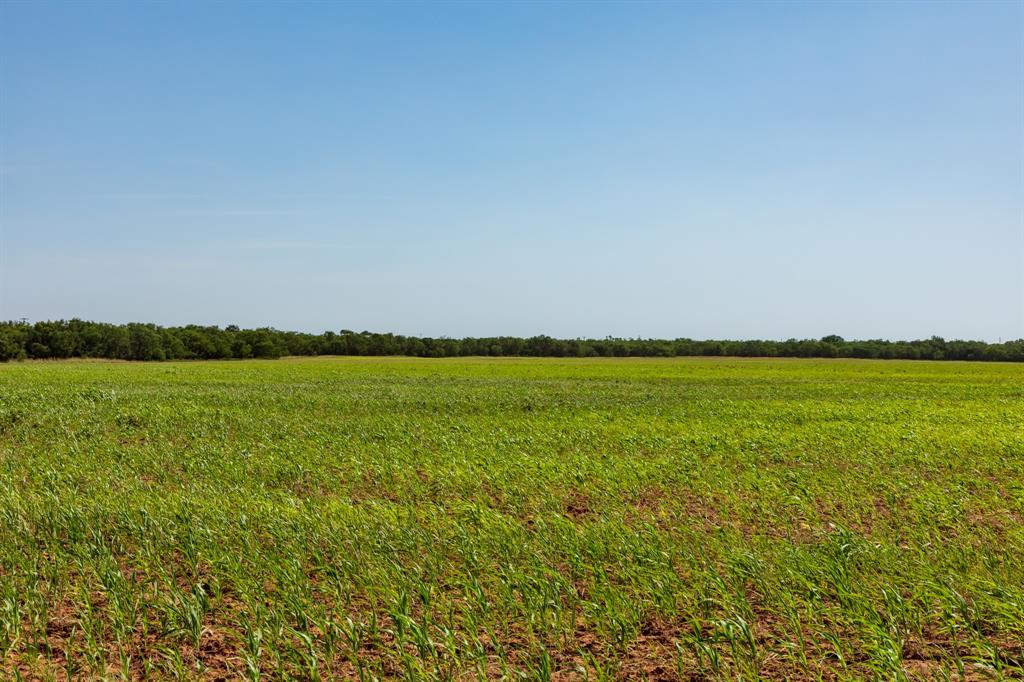 9000 Private Road 496 Property Photo 14