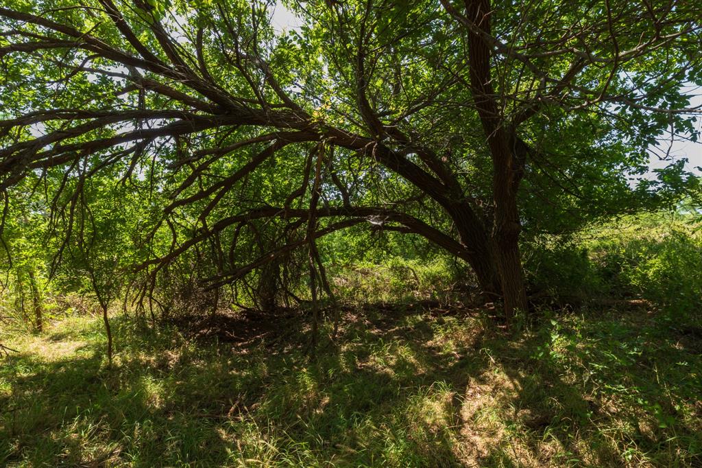 9000 Private Road 496 Property Photo 17