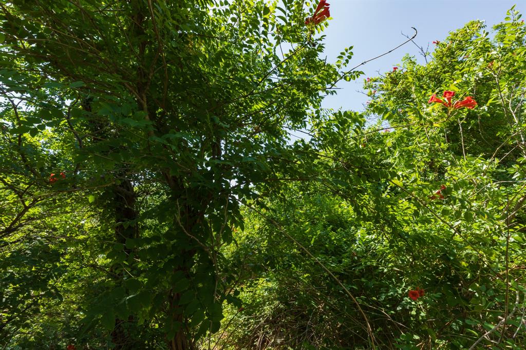 9000 Private Road 496 Property Photo 19
