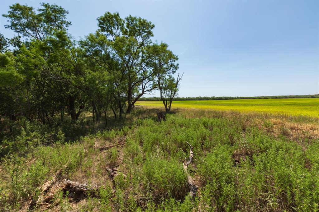 9000 Private Road 496 Property Photo 39