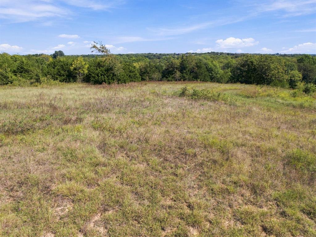 828 Blanton Hill Road Property Photo 26