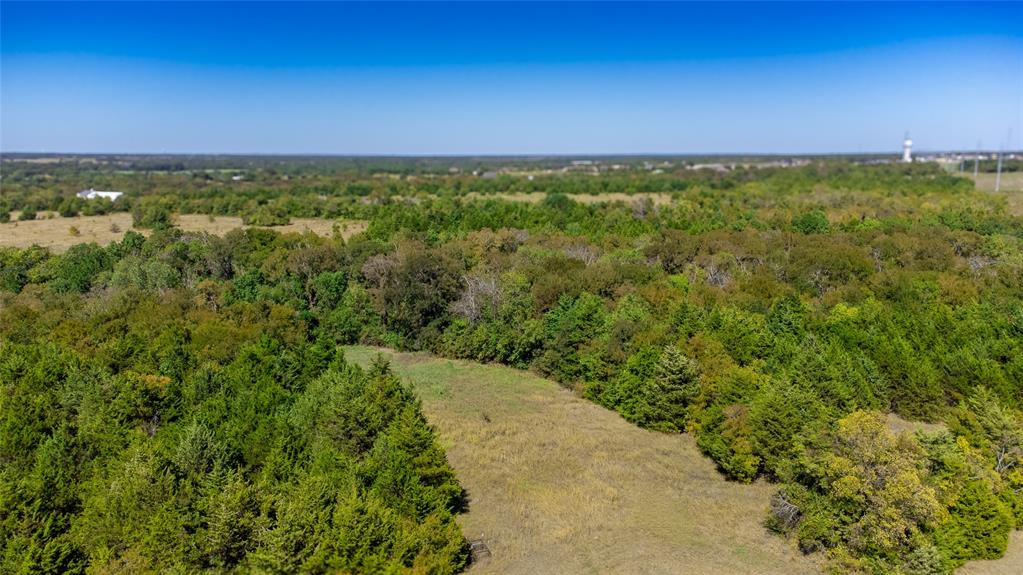 62.48 Ac County Road 218 Property Photo 21