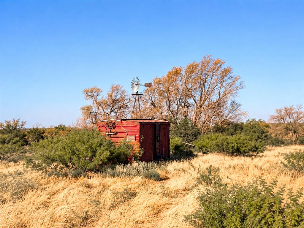 Tbd County Road 117 Property Photo 3