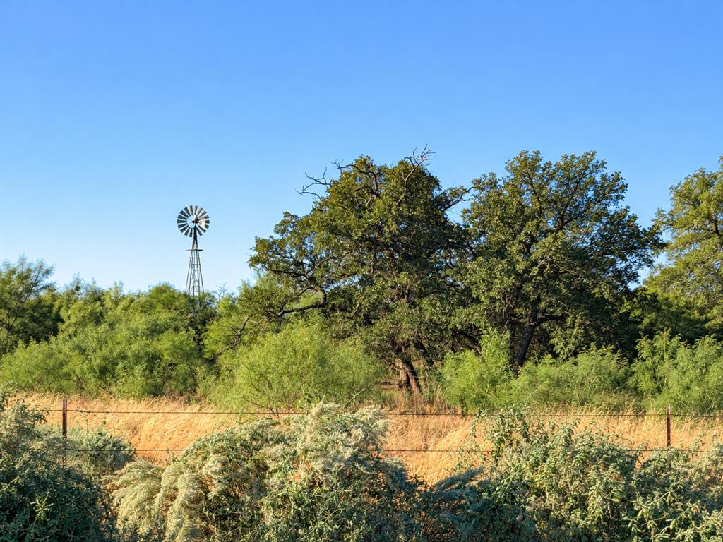 Tbd County Road 117 Property Photo 4