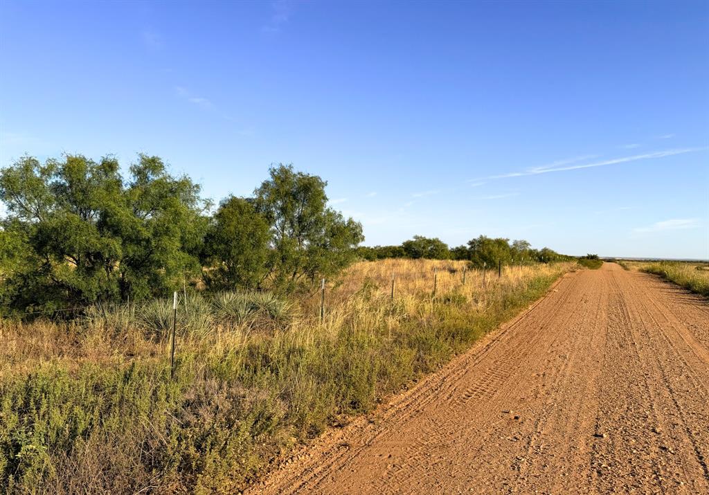 Tbd County Road 117 Property Photo 6
