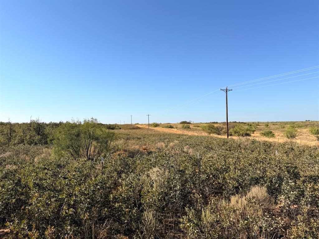 Tbd County Road 117 Property Photo 7