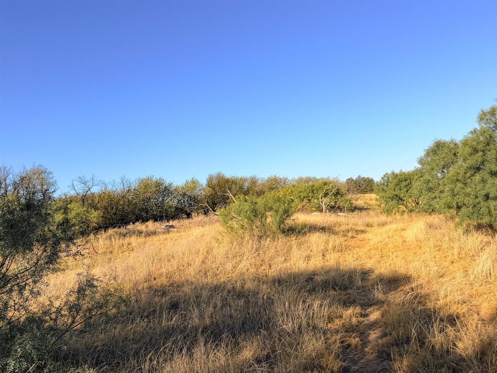 Tbd County Road 117 Property Photo 8