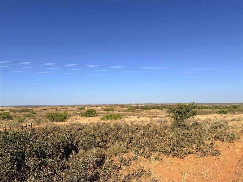 Tbd County Road 117 Property Photo 9