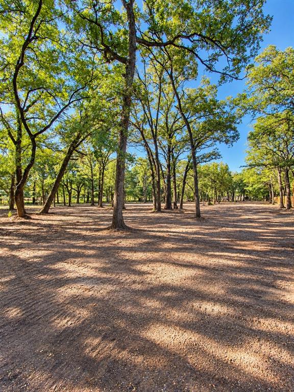 1.306+/-ac Highway 276 Property Photo 4