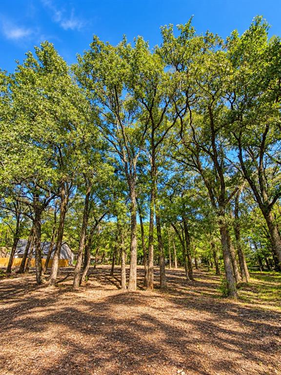 1.306+/-ac Highway 276 Property Photo 6