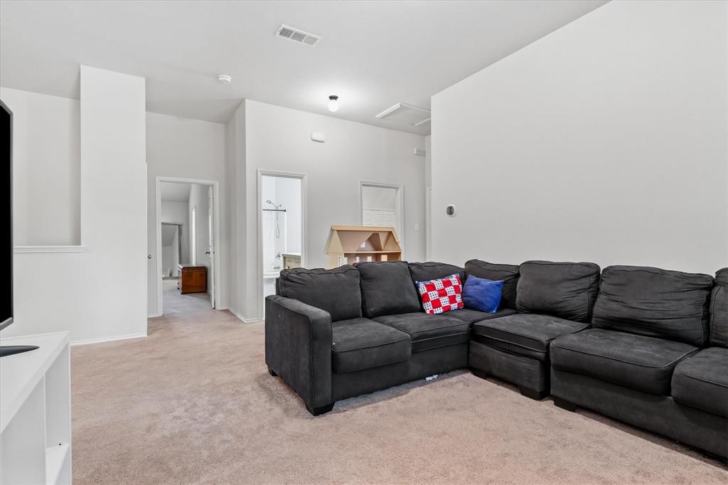 8745 Golden Sunset Trail Property Photo 19