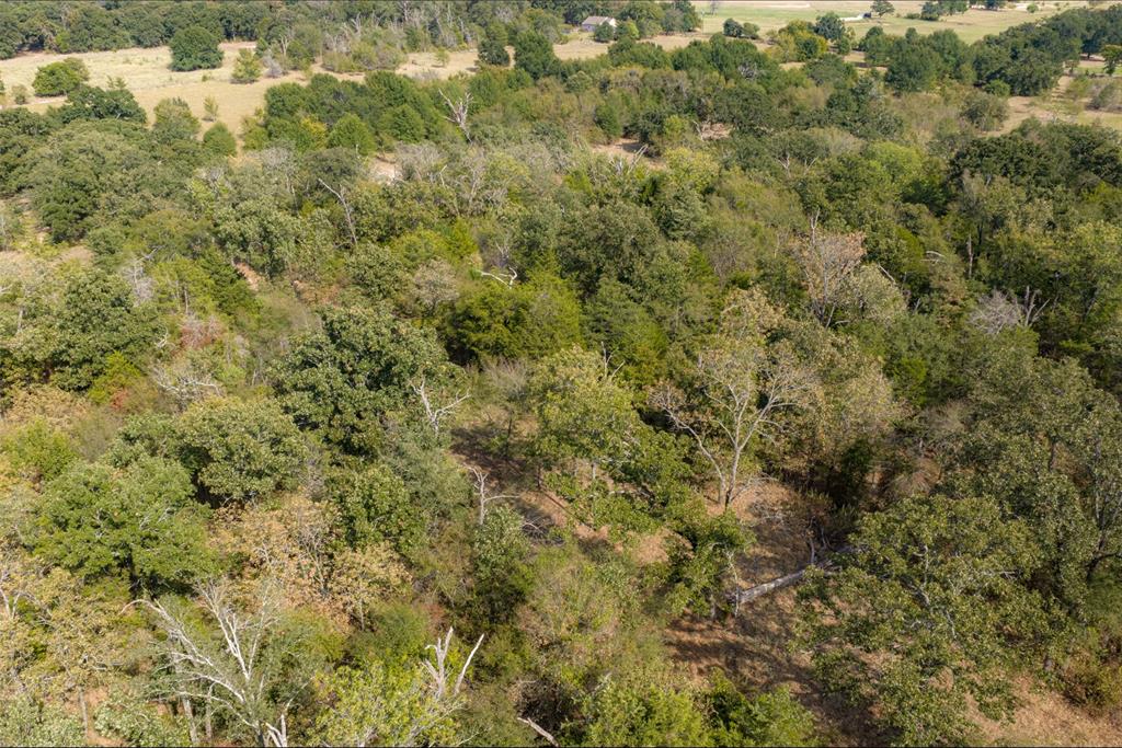 Nw Vz County Road 3409 Property Photo 28