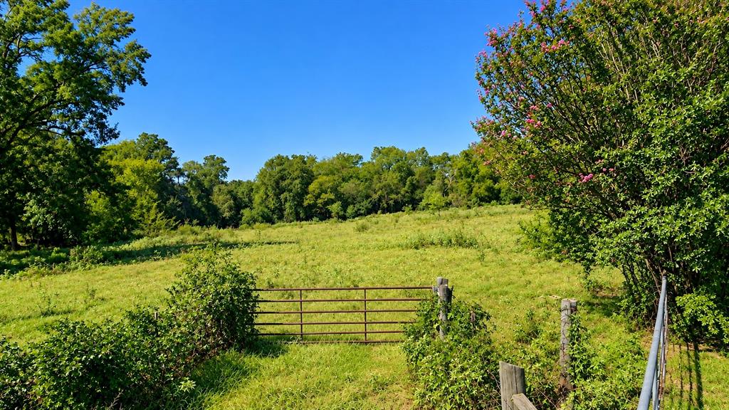 0 S Us-79 Highway Property Photo 2