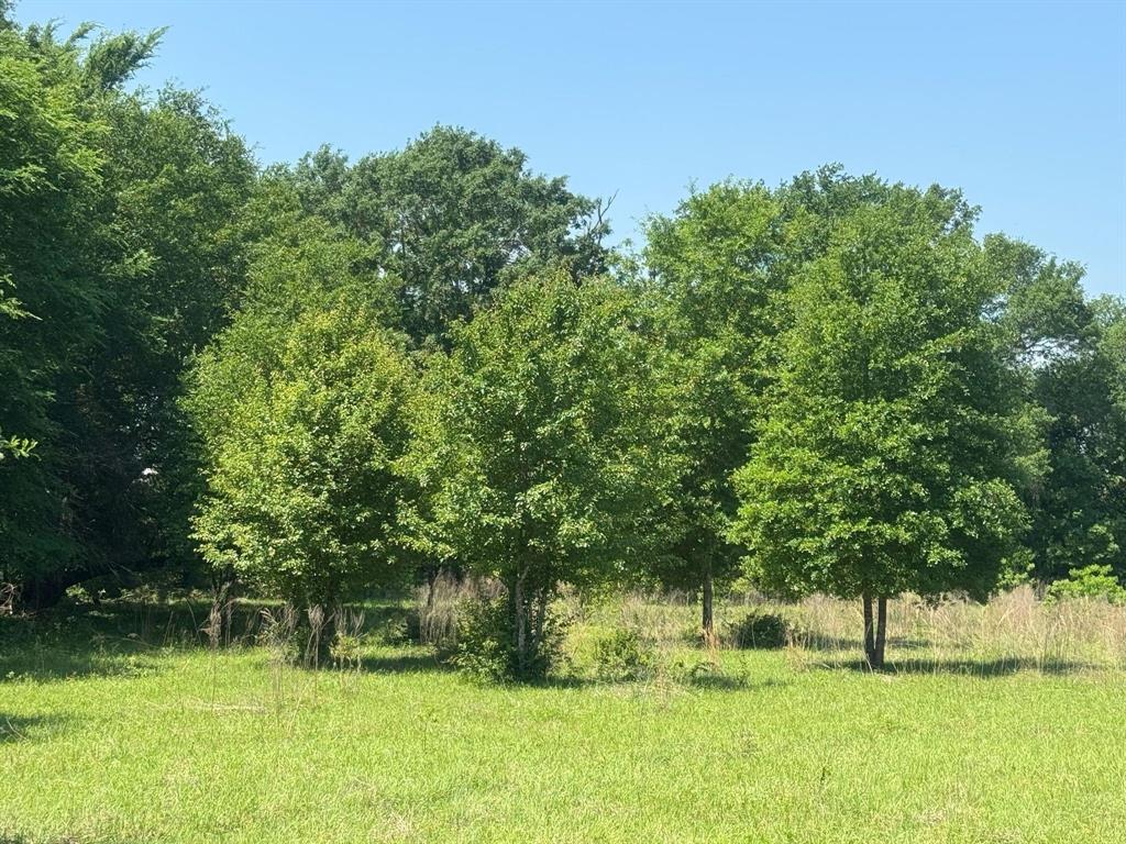 0 S Us-79 Highway Property Photo 3