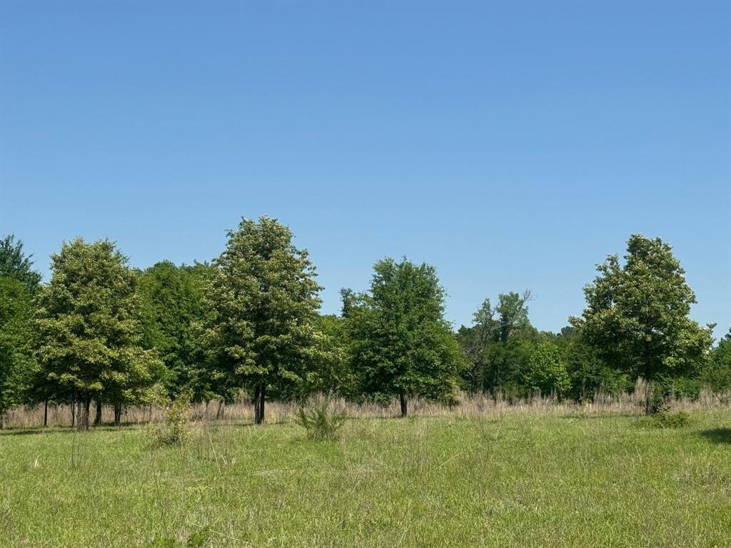 0 S Us-79 Highway Property Photo 4