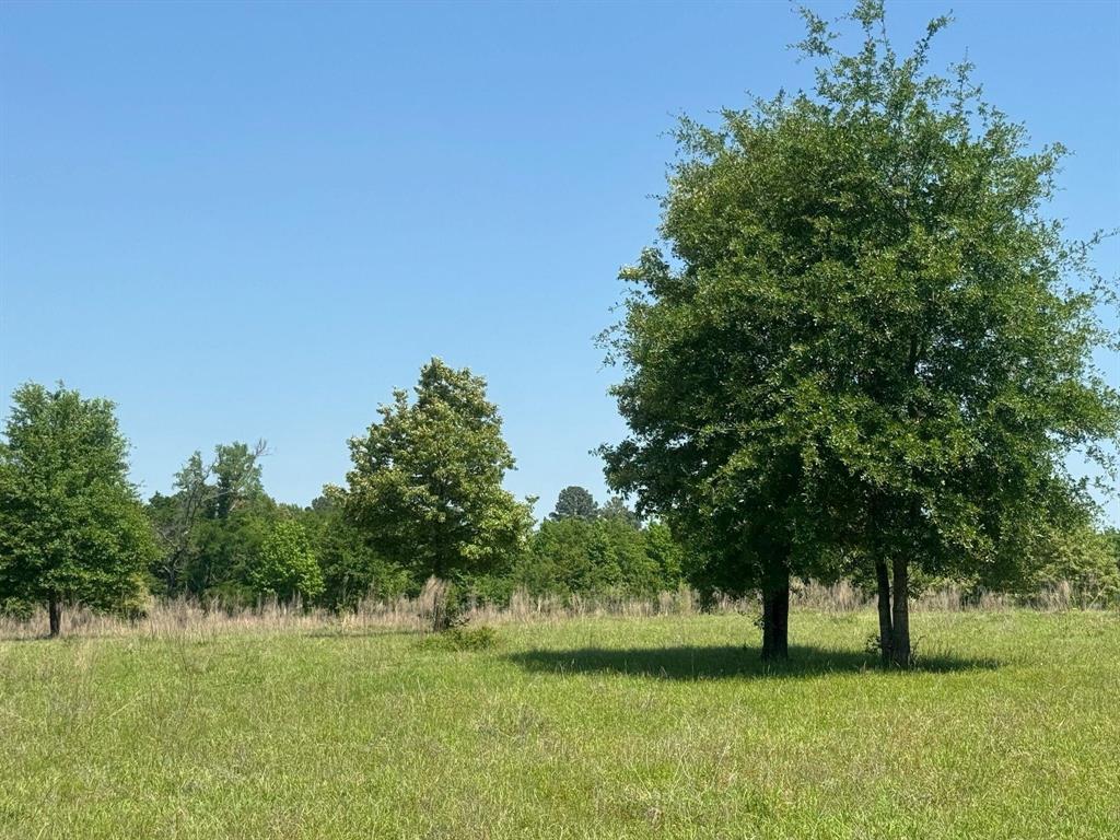 0 S Us-79 Highway Property Photo 5