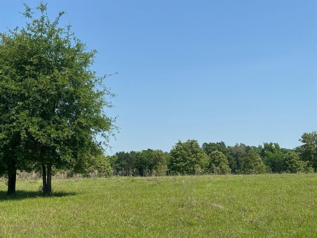 0 S Us-79 Highway Property Photo 6