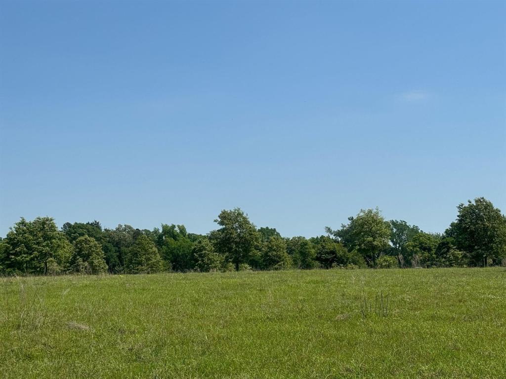 0 S Us-79 Highway Property Photo 7