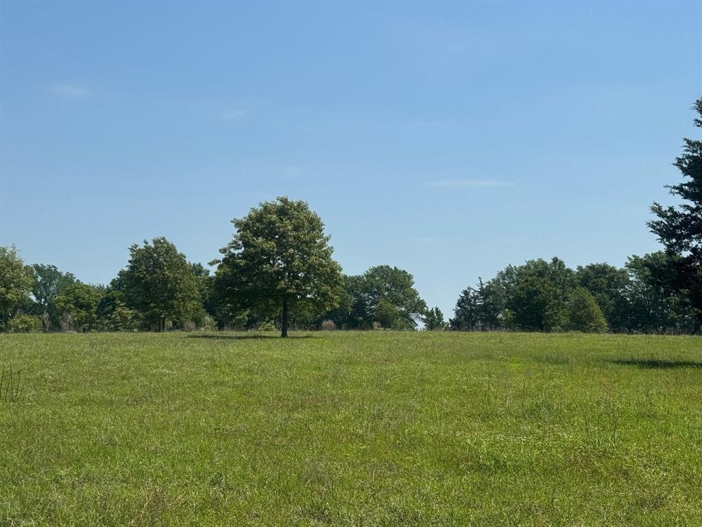0 S Us-79 Highway Property Photo 8