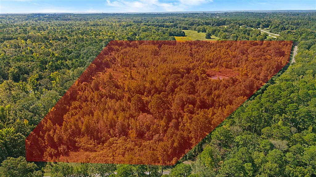 4669 Fm 1254 Property Photo 8