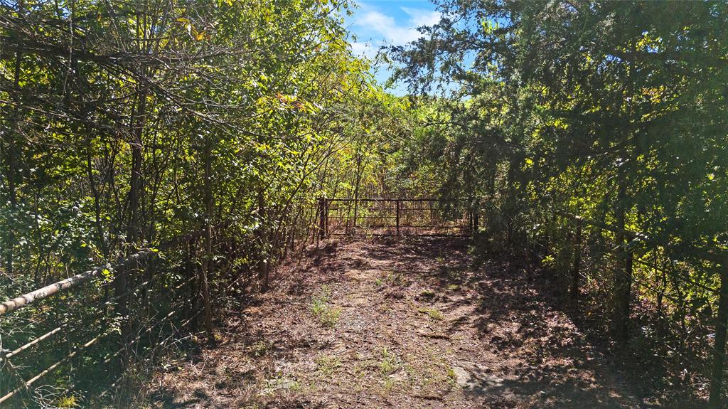 4669 Fm 1254 Property Photo 9