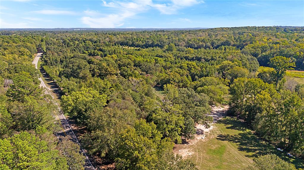 4669 Fm 1254 Property Photo 14
