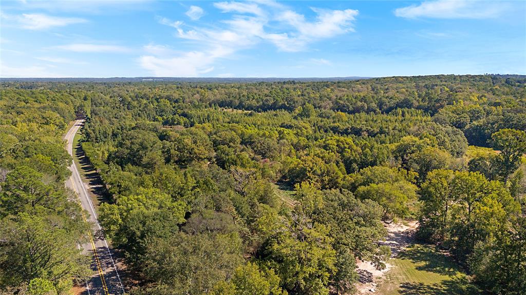 4669 Fm 1254 Property Photo 16