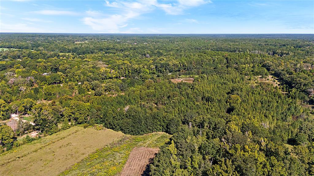 4669 Fm 1254 Property Photo 17