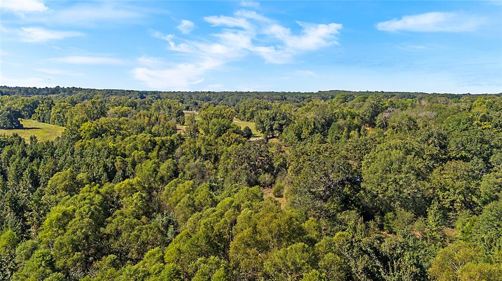 4669 Fm 1254 Property Photo 23