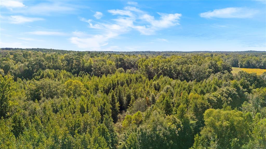 4669 Fm 1254 Property Photo 25