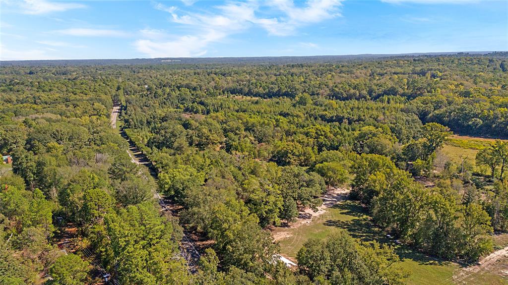4669 Fm 1254 Property Photo 27